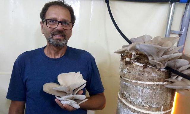 Kütükte Yetiştirdiği Mantarları, Kilosu 20 TL'ye Satıyor