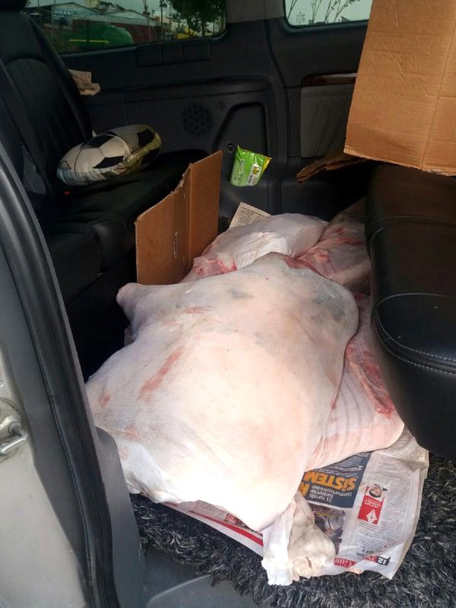 İhbar Üzerine Durdurulan Minibüste 420 Kilo Domuz Eti! Millete Yediremeden Yakalandılar