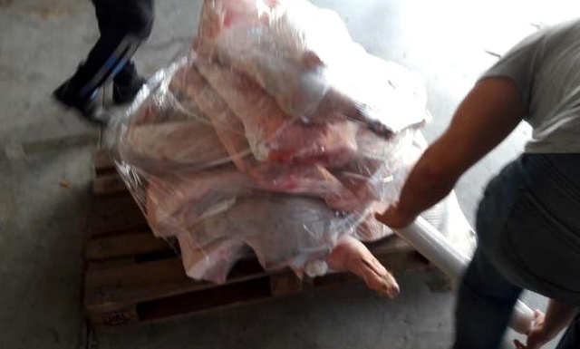 İhbar Üzerine Durdurulan Minibüste 420 Kilo Domuz Eti! Millete Yediremeden Yakalandılar