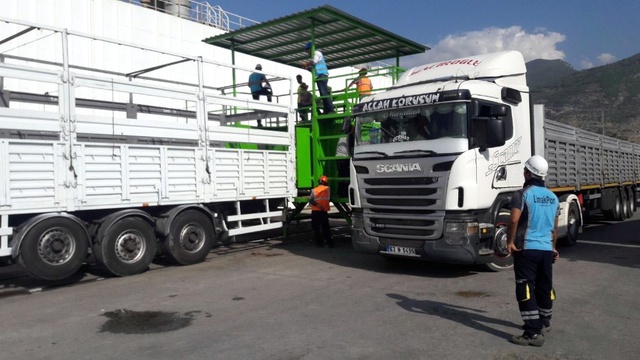 12 Bin 500 İthal Angus Deniz Yoluyla İskenderun'a Getirildi