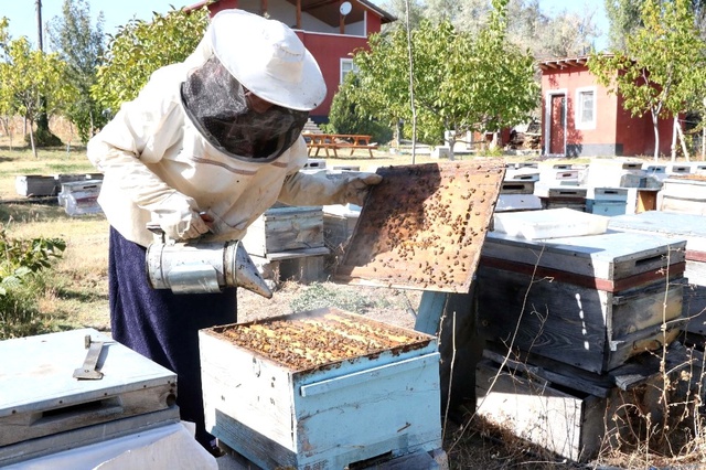3 Kovan ile İşe Başlayan Ev Hanımı, Yılda 1,5 Ton Bal Üretiyor