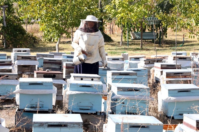 3 Kovan ile İşe Başlayan Ev Hanımı, Yılda 1,5 Ton Bal Üretiyor