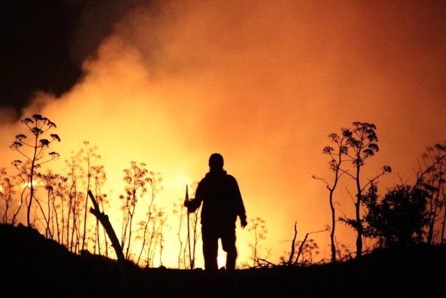 Bodrum'da Yerleşim Yerlerine Yaklaşan Yangın, 11 Saat Sonra Kontrol Altında