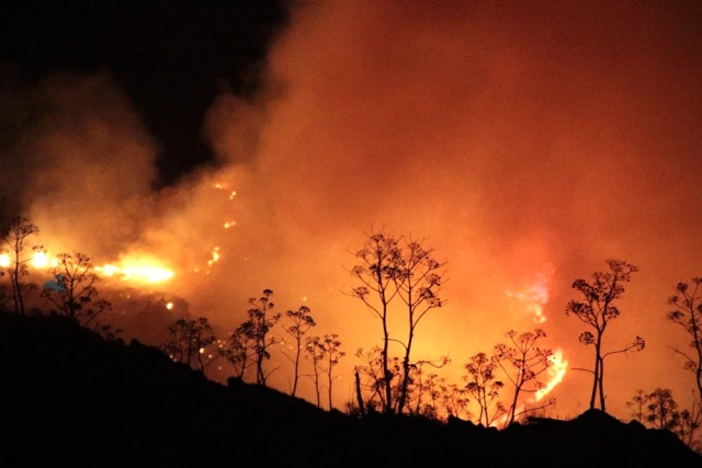 Bodrum'da Yerleşim Yerlerine Yaklaşan Yangın, 11 Saat Sonra Kontrol Altında