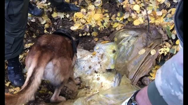 Tunceli'de Öldürülen PKK'lılar Geride Adeta Cephanelik Bıraktı