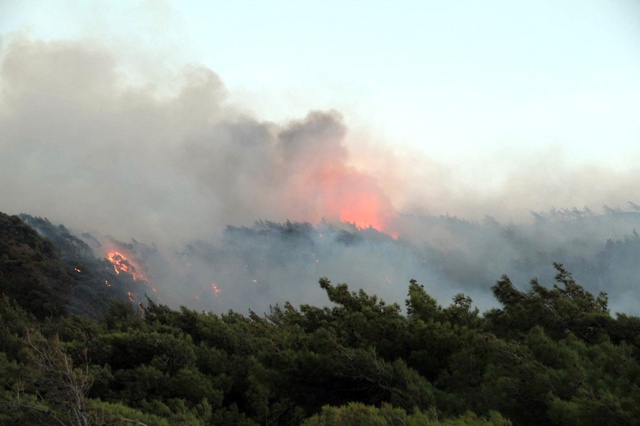 Datça'da 50 Hektar Ormanı Yakan Arazöz Şoförü Tutuklandı