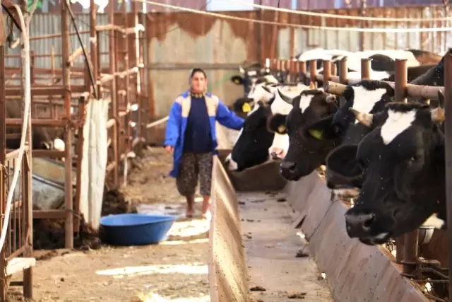 4 Bilezikle Kendi İşini Kurup 1 Milyon Liralık Servetin Sahibi Oldu