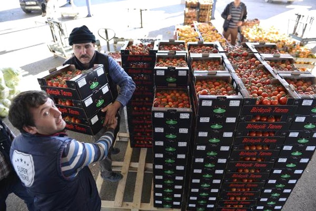 Rusya Domates Almayınca Beyaz Rusya'ya Sattık