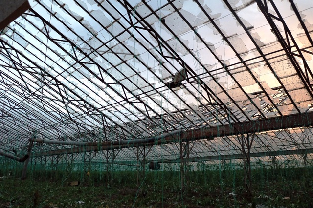 Hortum Felaketinin Boyutu Gün Ağarınca Ortaya Çıktı! Çiftçiler Gözyaşlarını Tutamadı