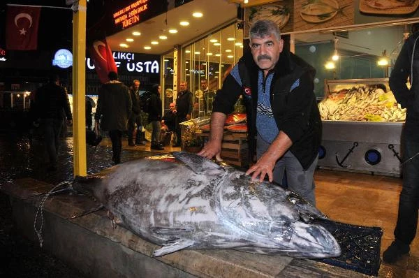 Aydınlı Balıkçı, 320 Kiloluk Orkinosu Sergileyince Dükkanı Dolup Taştı