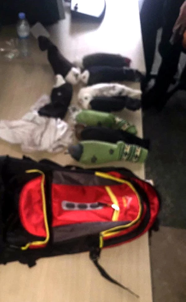 Havalimanında Yolcunun Çantasındaki Çoraplardan 11 Güvercin Çıktı