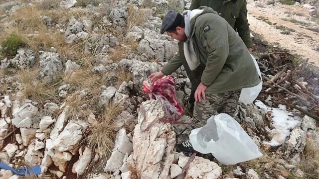 Koruma Altındaki Dağ Keçisini Avlayan 3 Avcıya 16 Bin TL Para Cezası