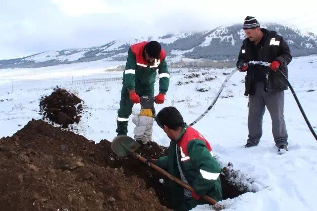 Dondurucu Soğukların Etkili Olduğu Erzurum'da 600 Mezar Kazıldı