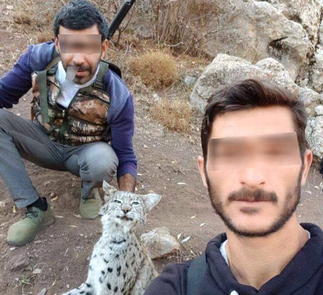 Nesli Tükenmekte Olan Vaşağı Öldürüp Selfie Çeken Gençlere 8 Bin TL Para Cezası