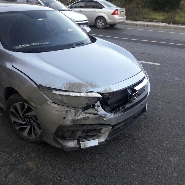 Beykoz'da Yola İnen Domuza Otomobil Çarptı