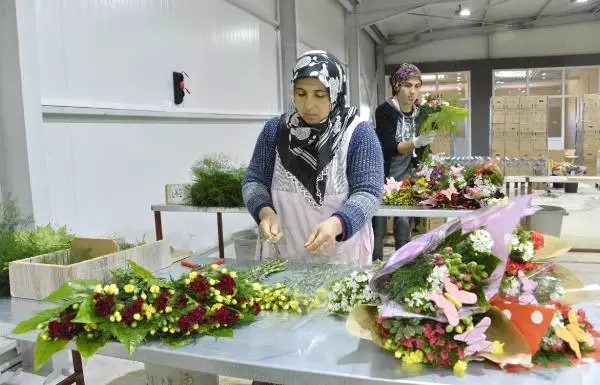 Rusya'yla Yaşanan Domates Krizinden Sonra Şimdi de Karanfil Krizi Çıktı