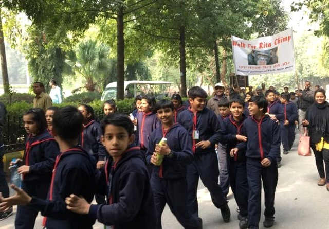 Hindistan'ın En Yaşlı Şempanzesi İçin Renkli <a class='keyword-sd' href='/dogum-gunu/' title='Doğum Günü'>Doğum Günü</a> Partisi Düzenlendi