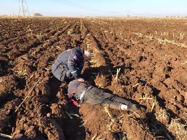 80 Yaşındaki Kayıp Dede, 2 Gün Sonra Tarlada Bitkin Halde Bulundu