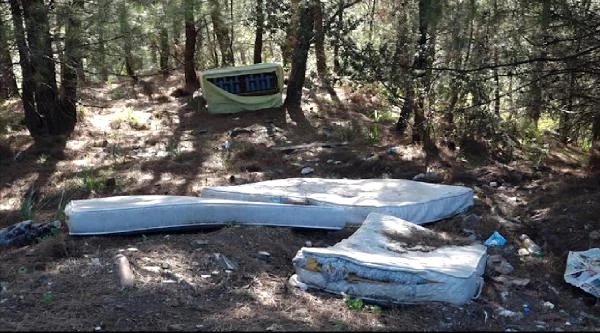 Turizm Cenneti Marmaris'te Doğa Katliamı! Çöp Kutuları Parçalandı, Orman Yolları Çöplüğe Döndü