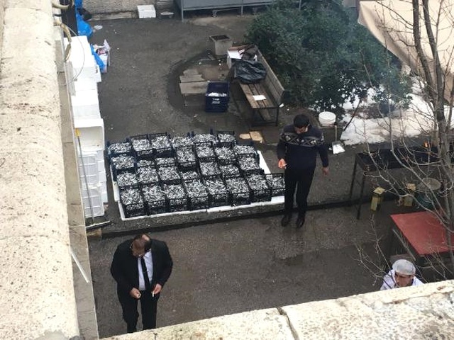 Meclis'te Mangallar Yakıldı, Vekillere 1 Ton Hamsi İkram Edildi