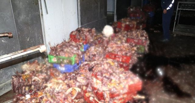 Adana'da İğrenç Görüntü! 3 Ton Kaçak Kesilmiş Tavuk Ele Geçirildi