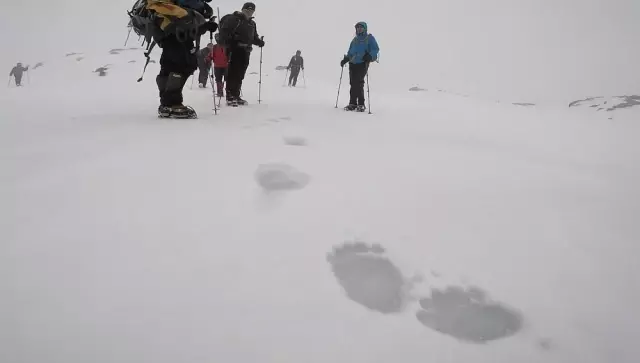 Uludağ'da Ayıya Ait Dev Ayak İzleri, Görenleri Şaşkına Çevirdi