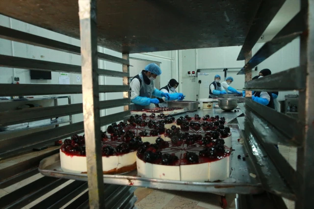 Beş Kardeş, Kurdukları Fabrikada Pastayı Dondurup 12 Ülkeye İhraç Ediyor
