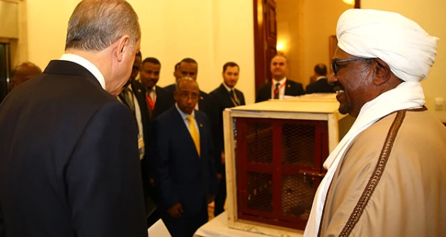 Cumhurbaşkanı Erdoğan'a Sudan'da Aslan Yavrusu Hediye Edildi