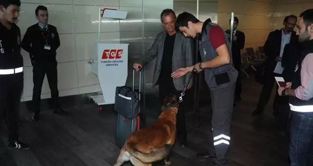 Hollanda'daki Köpekli Aramaya Atatürk Havalimanında Misilleme!