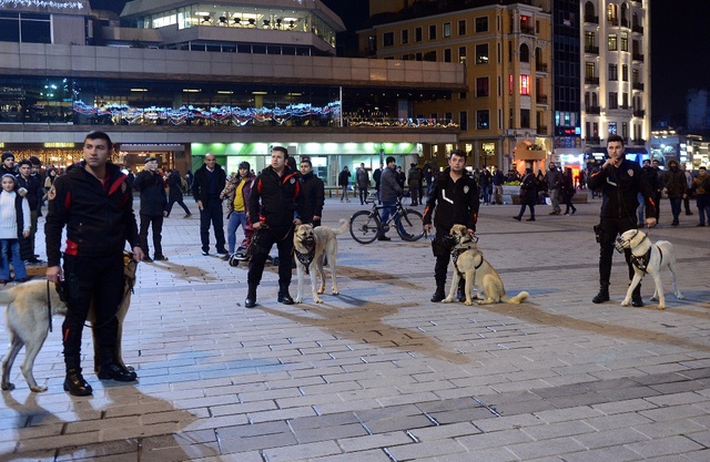 Emniyet Tarihinde Bir İlk! Sivas’tan Getirilen Kangallar, Taksim'de Kuş Uçurtmadı