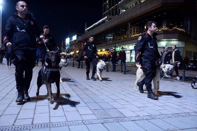 Emniyet Tarihinde Bir İlk! Sivas’tan Getirilen Kangallar, Taksim'de Kuş Uçurtmadı