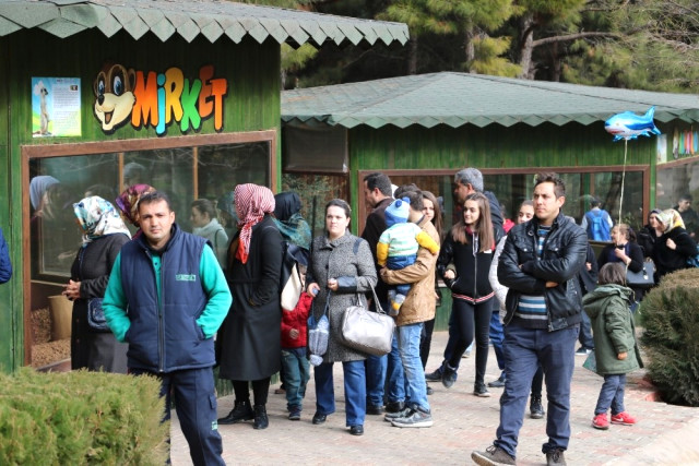 Erdoğan'ın 3 Yavru Aslanı İçin Türkiye'nin En Büyük Hayvanat Bahçesinde Hazırlıklar Başladı