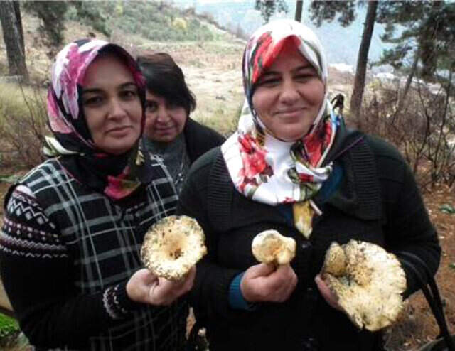 Bu Tantuni Bildiğiniz Gibi Değil! Mersinli Kadınlar, Mantarın Tantunisini Yaptı