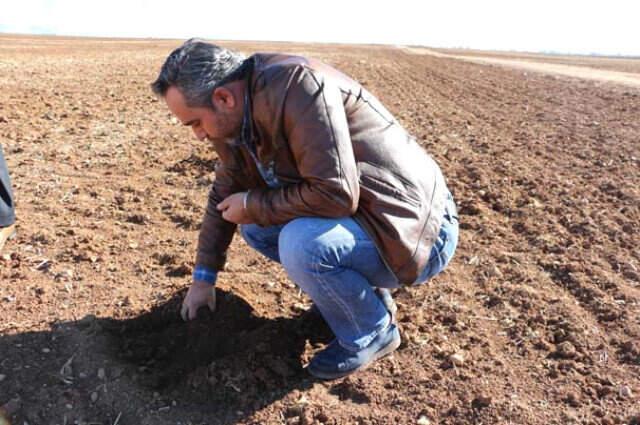 Türkiye Son 44 Yılın En Kurak Kışını Yaşıyor! Tohumlar Tarlada Çürüdü