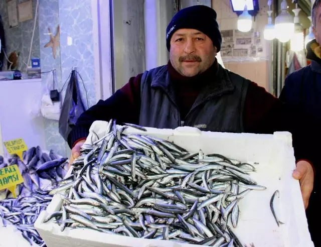 Havalar Soğudu, Hamsi Fiyatları Yarı Yarıya Düştü