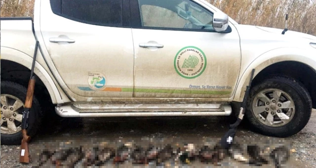 Milli Parkta Kaçak Avcı Baskını! Ördekleri Acımasızca Öldüren 5 Cani Gözaltına Alındı