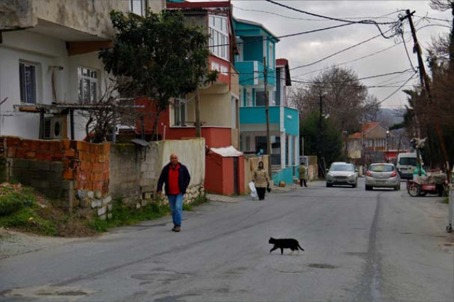 Durusu Köyü Yatırımcıların Akınına Uğradı