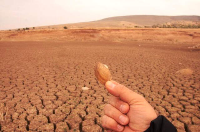 Mevsimler Şaşınca Kuraklık Gölleri Kuruttu! Yağışlar Başlamazsa Tehlike Büyük