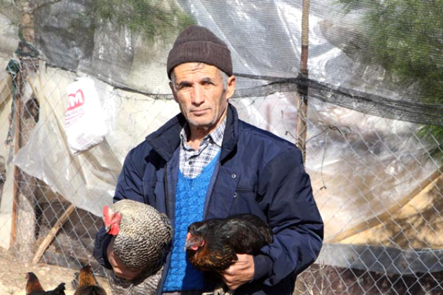 Son Maaşı ile 100 Tavuk Alıp Çiftlik Kurdu, Şimdi Talebe Yetişemiyor