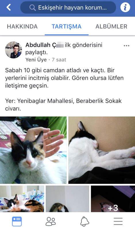 Cani Üniversiteli Çamaşır Makinesine Atıp Öldürdüğü Kediyi Poşetle Çöpe Attı