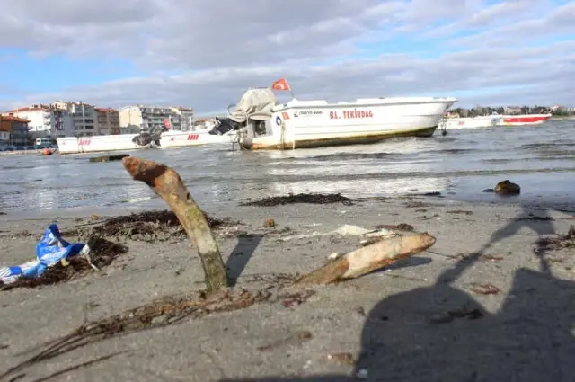 Deniz 15 Metre Çekilince Akıllara 