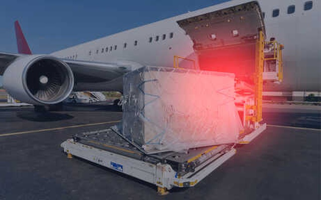 Turkish Cargo Türk Balıklarına Özel Sefer Hazırlıyor