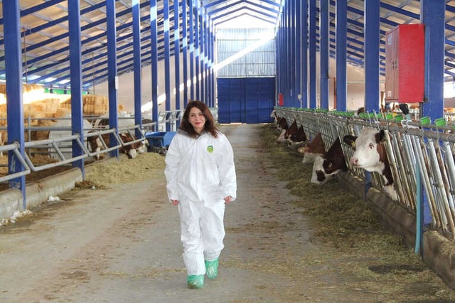 Mühendisliği Bıraktı, Süt Çiftliği Kurdu