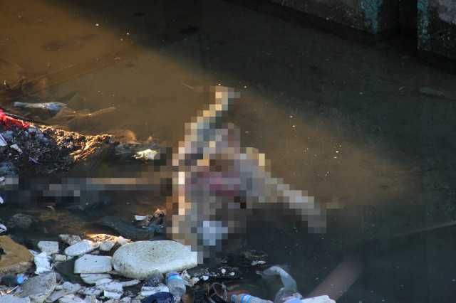 Sulama Kanalına Giden Çocuklar, Parçalanmış Kadın Cesedi Buldu