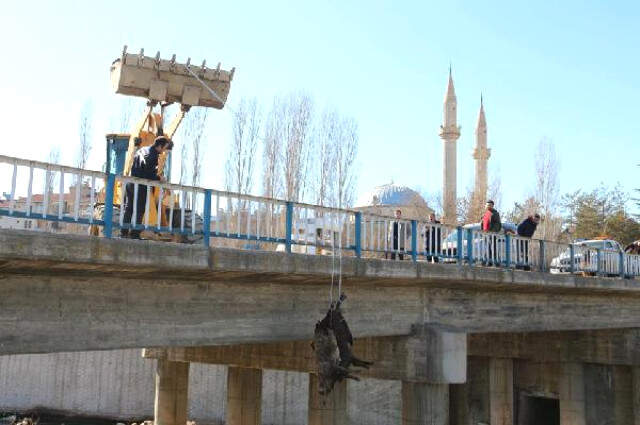 Erzurum'da Telef Olan Koyunları Çaya Atan Besici Gözaltına Alındı Erzurum'da Telef Olan Koyunları Çaya Atan Besici Gözaltına Alındı