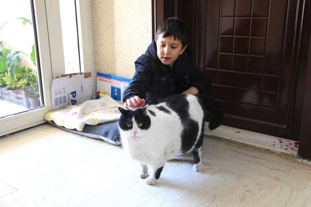  <a class='keyword-sd' href='/istanbul/' title='İstanbul'>İstanbul</a>'da Vatandaşlar, 18 Kiloluk 'Tombalak'ı Zayıflatmaya Çalışıyor