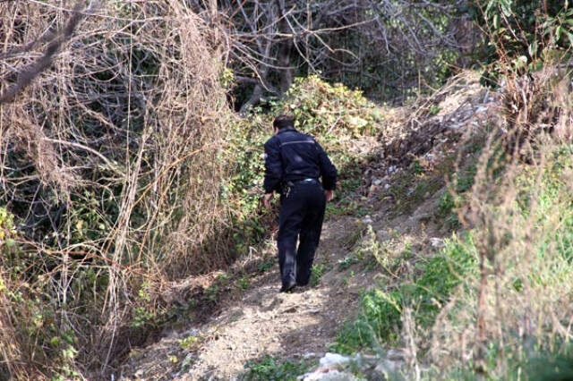 Samsun'da Görüntülenen Dev Domuz, Ekipleri Alarma Geçirdi