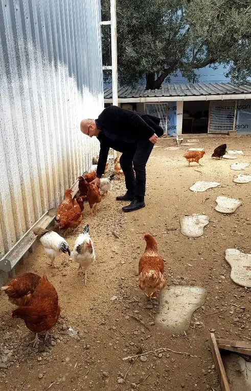 İş Adamları İş Stresinden Kurtulmak İçin Edremit'e Göç Ediyor