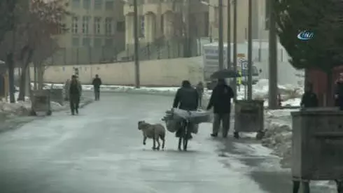 Sivas'ta Köpeğin Boynuna İp Bağlayıp Bisikletin Peşinde Böyle Koşturdu