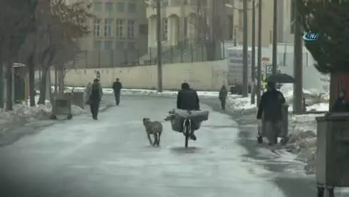 Sivas'ta Köpeğin Boynuna İp Bağlayıp Bisikletin Peşinde Böyle Koşturdu
